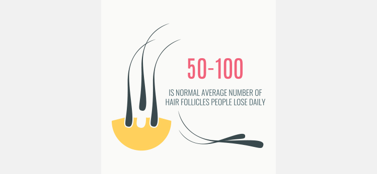 data-statistics-infographics-receding-follicle