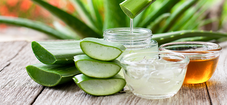 aloe-vera-leaf-aloevera-gel